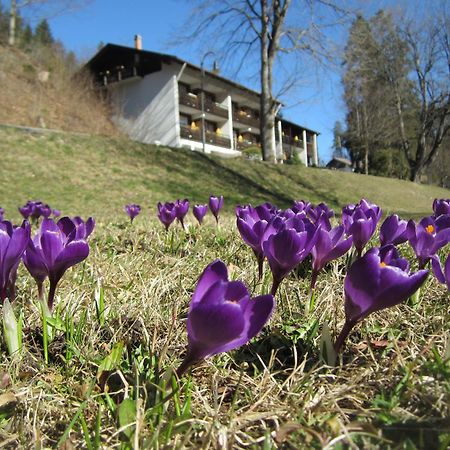 Hotel Ruchti - Zeit Fuer Mich Füssen Dış mekan fotoğraf
