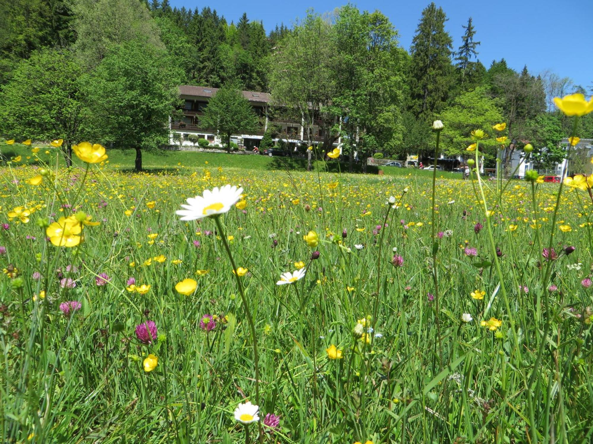 Hotel Ruchti - Zeit Fuer Mich Füssen Dış mekan fotoğraf